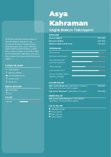 Tekniker ve Teknisyen Cv Örnekleri cv indir
